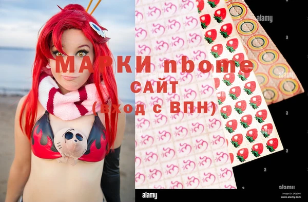 индика Пестово
