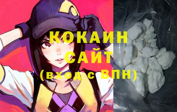 индика Пестово
