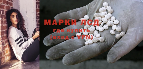индика Пестово