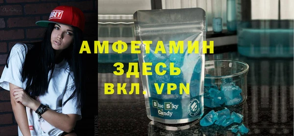 индика Пестово