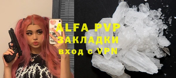 индика Пестово