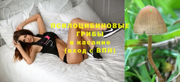 индика Пестово