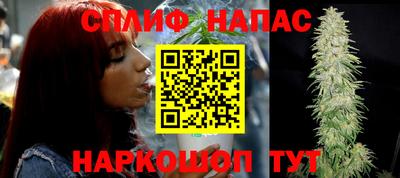 эйфоретик Берёзовский