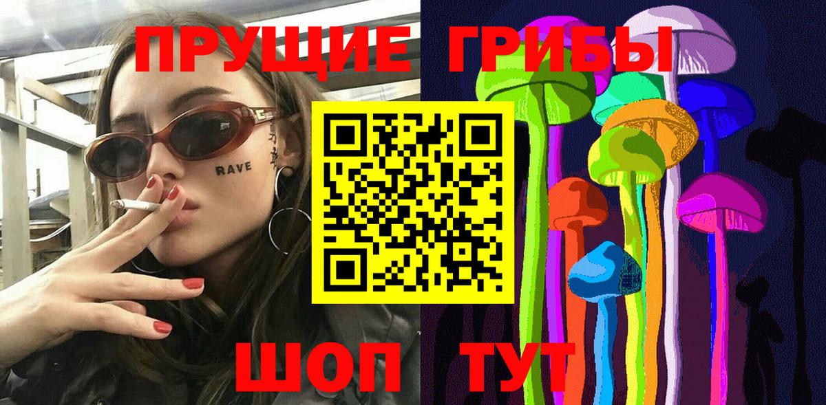 Псилоцибиновые грибы мицелий Большой Камень