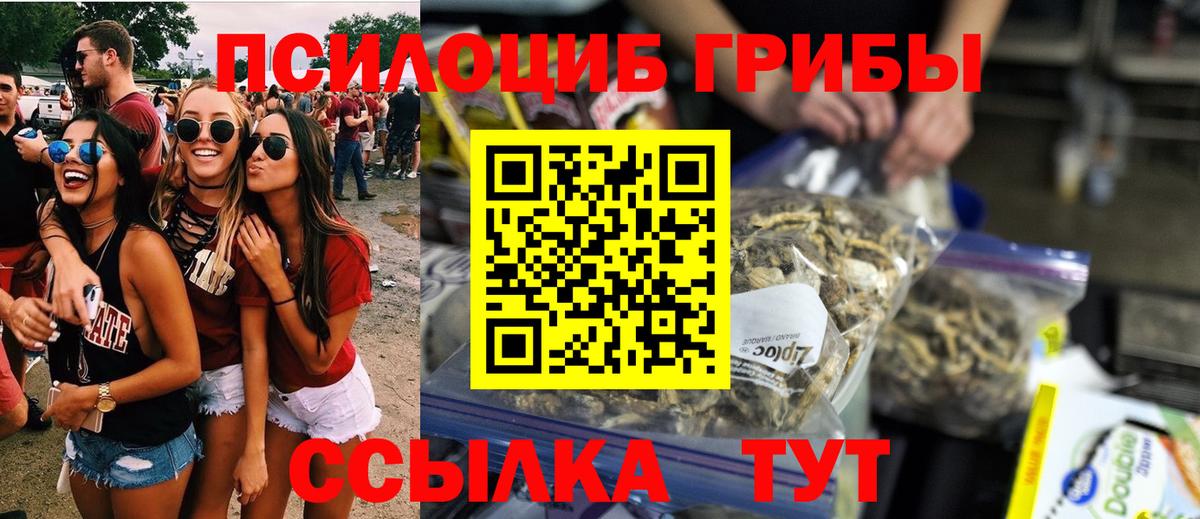 Псилоцибиновые грибы Psilocybine cubensis Большой Камень
